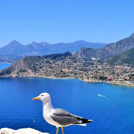 Acan0916 Villa Calpe